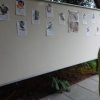 dscn0341