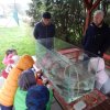 dscn0347