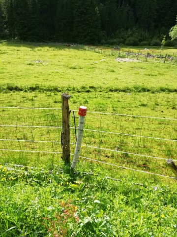 img_20220617_172813