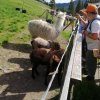 img_20220617_165239