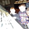 dscn9442