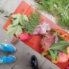 dscn9227