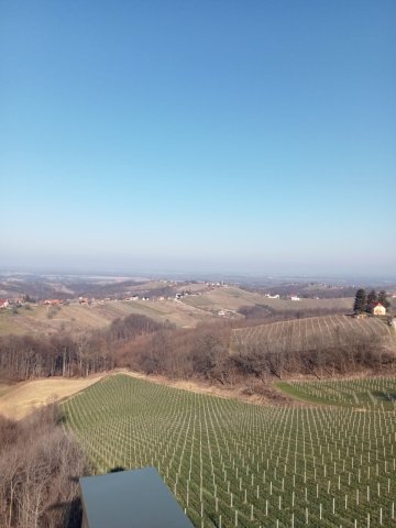 img-20230210-wa0021