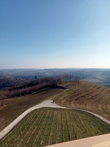img-20230210-wa0028