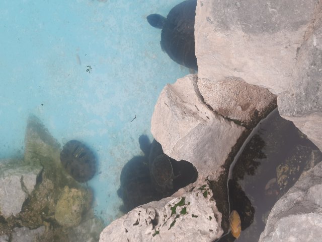 20241012_090406