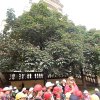 dscn1389