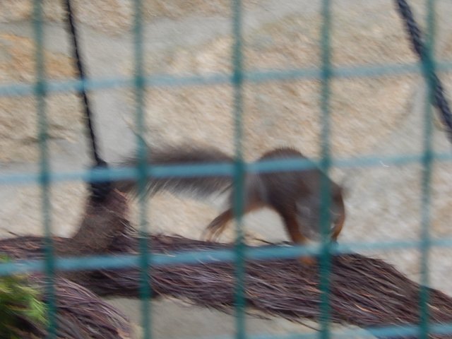 dscn0238