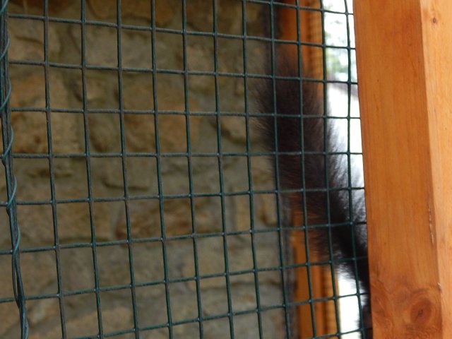 dscn0239