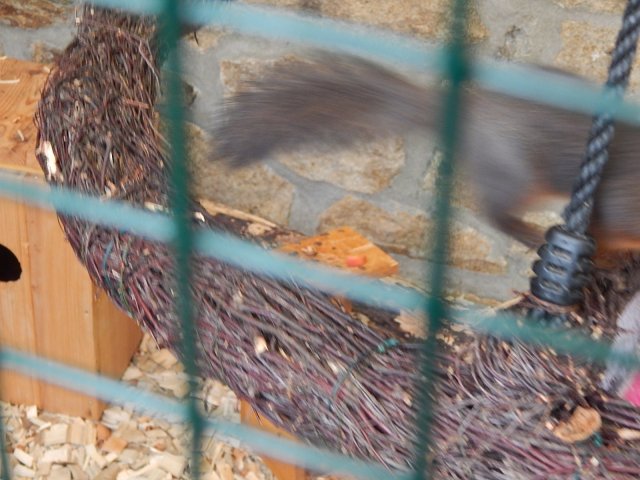 dscn0243