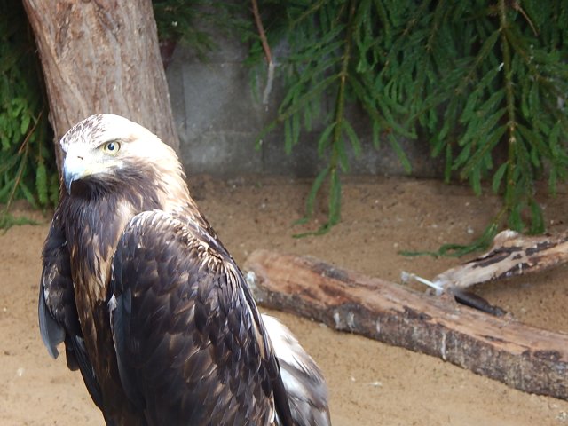 dscn0248