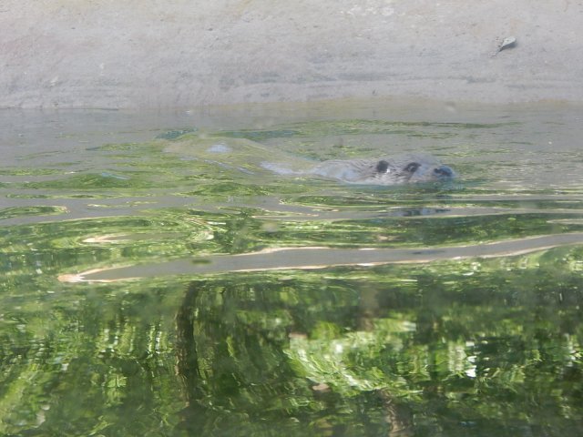 dscn0252