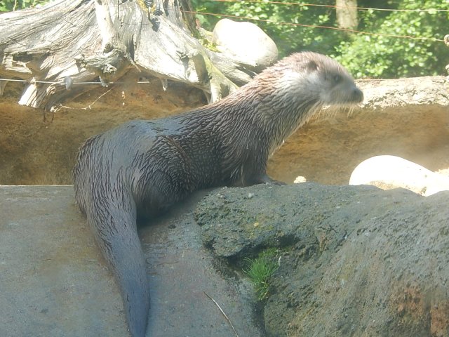 dscn0253