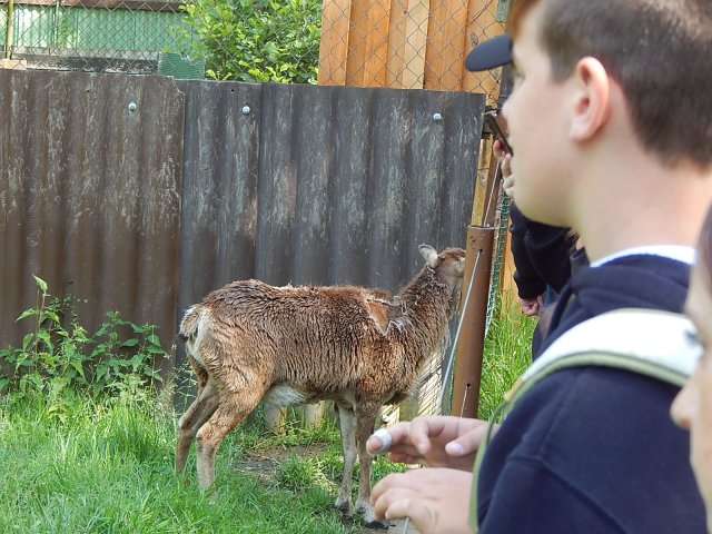 dscn0254