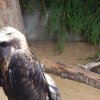 dscn0248