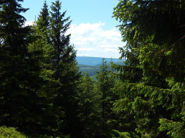 dscn9321