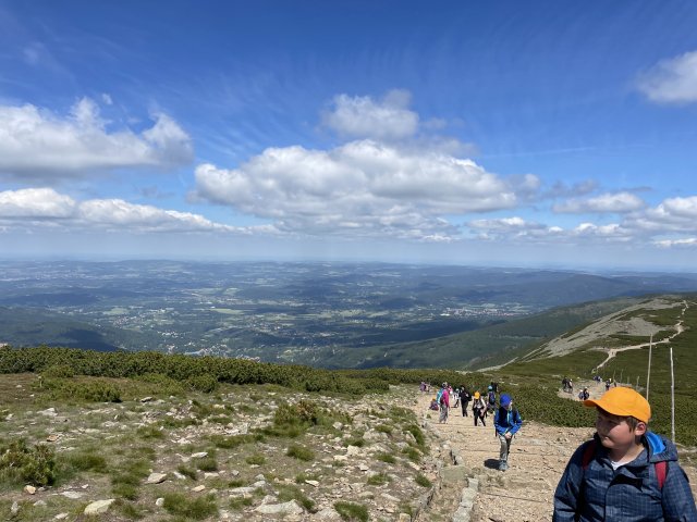 d206e42e-0e43-43e9-8a69-83bddc1fd7e5