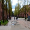 img_20240403_150444