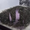 img_20240403_153328