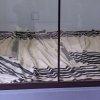 img_20240403_153414