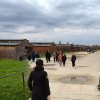 img_20240403_171159