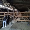 img_20240403_172030