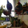 dscn0072
