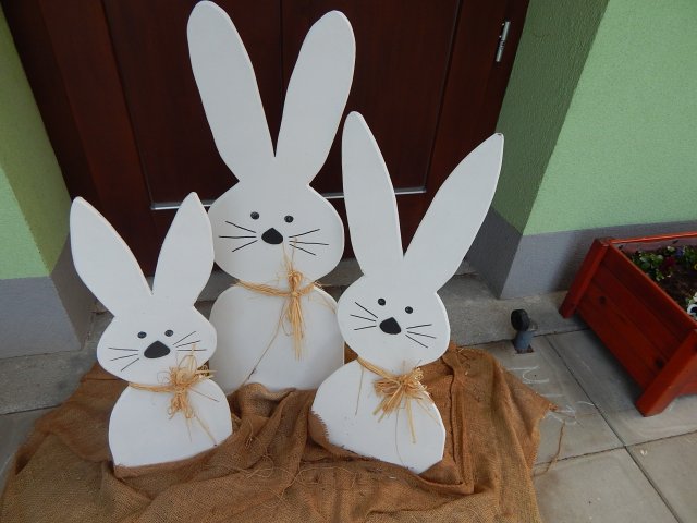 dscn9182