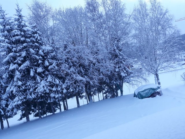 img-20220202-wa0006