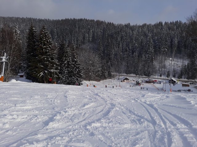 photo-2023-02-02-11-36-02_1