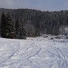 photo-2023-02-02-11-36-02_1