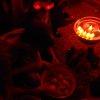 dscn0702