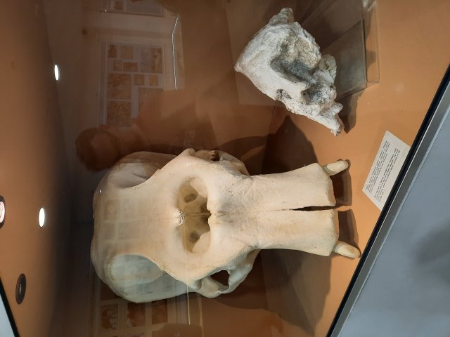 20230222_153118