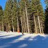 img_0732