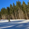 img_0733