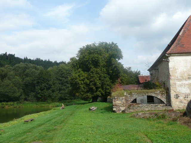 p1000704
