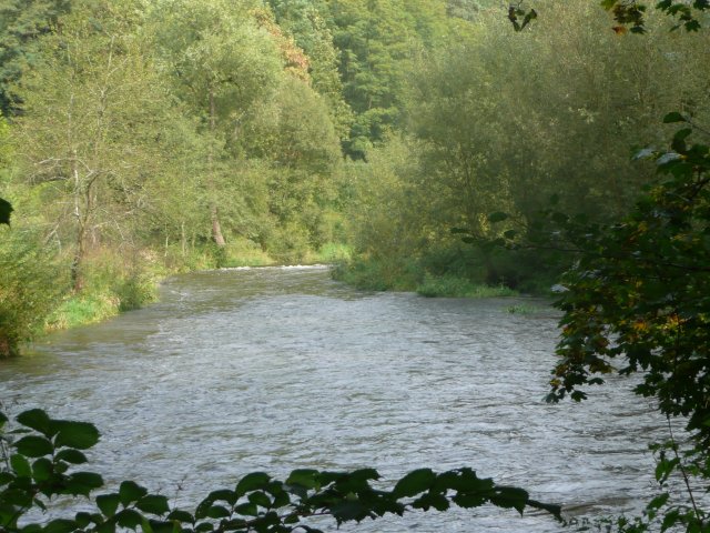 p1000709
