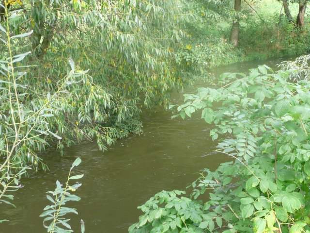 p1000711