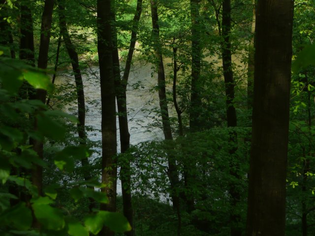 p1020095