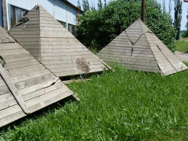 p1100998