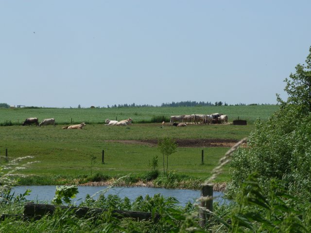 p1110001