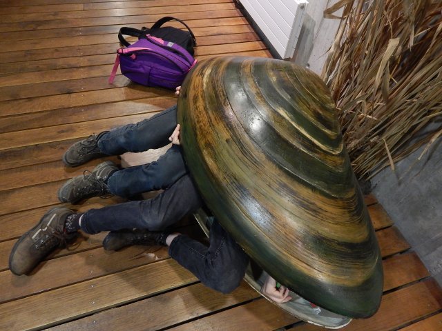 dscn9910