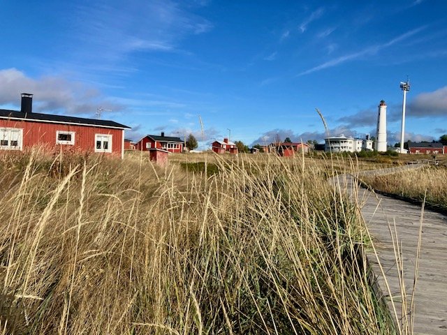 img_6441