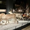 img_6276