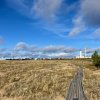 img_6428