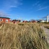 img_6441