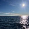 img_6454