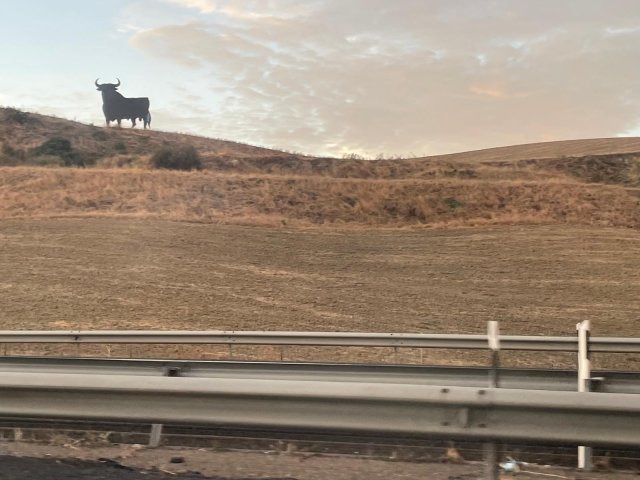 img-20251019-wa0017
