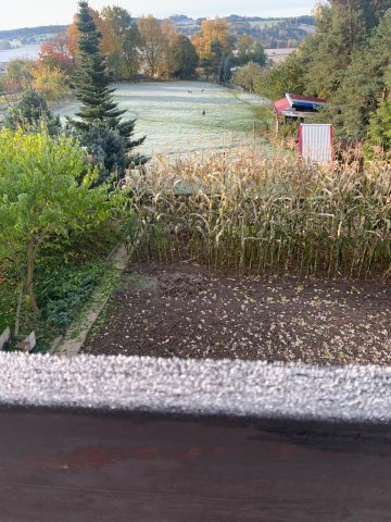 img-20251019-wa0018