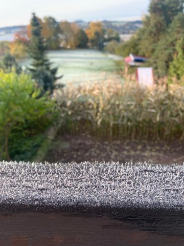 img-20251019-wa0019