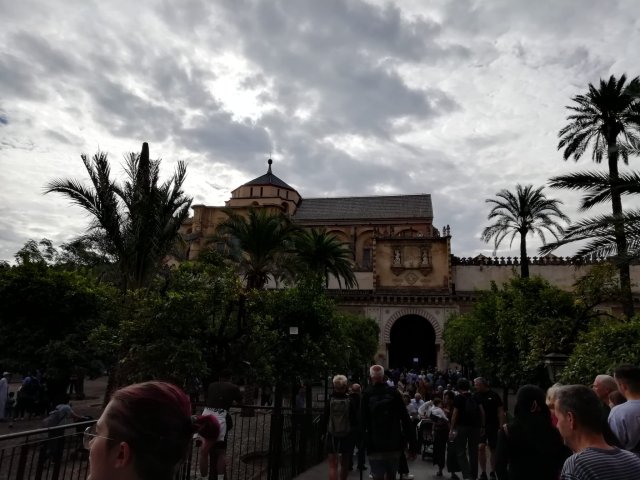 img-20251019-wa0065